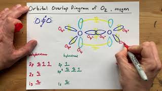 Draw the Orbital Overlap Diagram of O2 Oxygen gas [upl. by Sena]