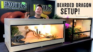 BEARDED DRAGON SETUP FOR BEGINNERS [upl. by Lieno]