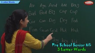 3 Letter Words  Three Letter Phonics Words  Sight Words  School Leaning [upl. by Eidas]