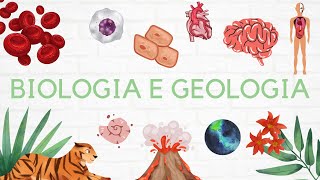 8 Geologia 10º ano  Sismologia 🌎 [upl. by Mccullough]