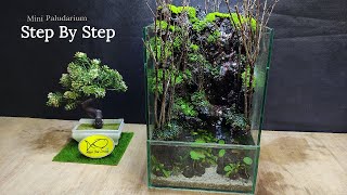 how to make a mini paludarium [upl. by Ysteb]