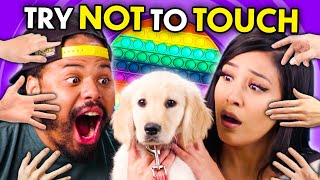 Try Not To Touch Challenge Puppies Cats PopIts  React [upl. by Alaine]