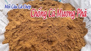 Mồi Câu Cá Chép SIÊU NHẠY Và CHỐNG CÁ MƯƠNG PHÁ Cực Tốt [upl. by Ennaerb]