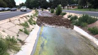 Flash flooding in camp creek [upl. by Anos]