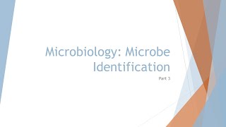 Microbiology Basics Microbe Identification [upl. by Anilys]