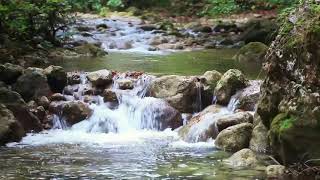 Tranquillità assoluta con il rumore dellacqua di ruscello che scorre per dormire  ASMR [upl. by Urbas]