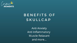 Skullcap  The ULTIMATE Soothing Mint [upl. by Annoed635]