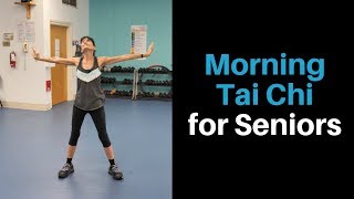 Tai Chi for Beginners Balance amp Flexibility Training [upl. by Anella]