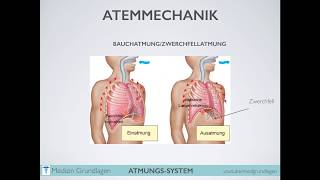 Atmung Atmungsantrieb Medizin Grundlagen Teil 2 [upl. by Anrahs]