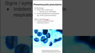 Pneumocystis pneumonia [upl. by Maggs]