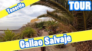 Callao Salvaje Tenerife 4K Walking Tour [upl. by Phebe33]