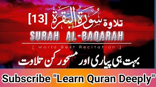 Emotional Recitation of Surah Al Baqarah 13 FreeCopyright Quran  Learn Quran Deeply recitation [upl. by Risteau]