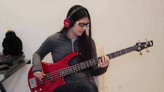 RHCP Around The World BASS COVER [upl. by Fafa]