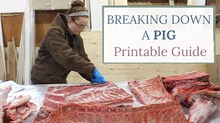 How To Start PROFITABLE PIG Production [upl. by Vittoria769]