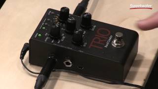 DigiTech Trio Band Creator Pedal Demo [upl. by Tirrej238]