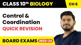 Control and Coordination  Quick Revision  Class 10 Science Chapter 6 [upl. by Gavrilla]