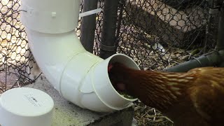 DIY Rodent Proof Chicken Feeders [upl. by Thatch]