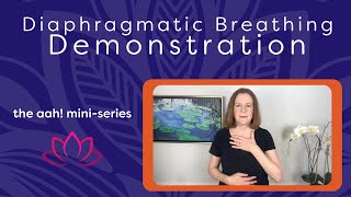 Diaphragmatic Breathing Demonstration [upl. by Tu845]