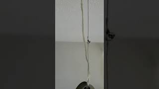 Install light fixture with Red White Black Wire and 2 wire Light [upl. by Aihsyak]