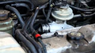 Ford Focus 18 TDDI EGR Cleaning with spraypulizia valvola egr [upl. by Fachini]