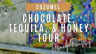 Cozumel Chocolate Tequila amp Honey Tour  Disney Fantasy Excursion 4K [upl. by Pentheas]