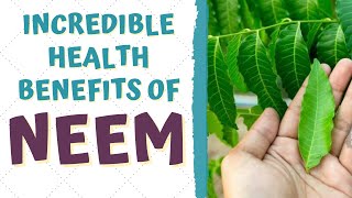 HEALTH BENEFITS OF NEEM [upl. by Chute]