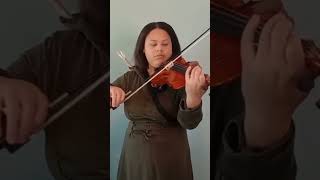 Toss A Coin To Your Witcher Violin Cover shorts [upl. by Eliot]