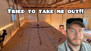 Shop House Update  Subfloor Build DIY [upl. by Anirol]