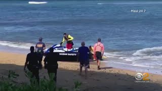 Deadly Shark Attack In Maui [upl. by Veal]