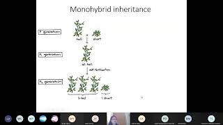 Chap 16 Part 2a Mendelian Inheritance 12  Cambridge ALevel 9700 Biology [upl. by Earaj]