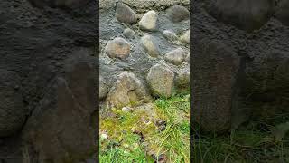 DIY Stone Retaining Wall Idea shorts [upl. by O'Donnell]