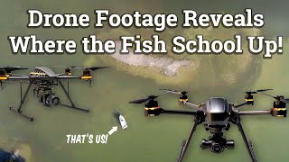 Why Do Saltwater Fish School In Spots Like This 3 DRONE CASE STUDIES [upl. by Dennett11]