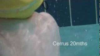 Cerrus  20 month old Swimming [upl. by Gunas]