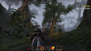 Valenwood as shown in The elder scrolls online Part 1 [upl. by Sulecram]