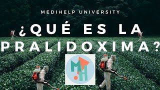 ¿Qué es la Pralidoxima  ANTÍDOTO para la intoxicación por insecticidas organofosforados [upl. by Aimit315]