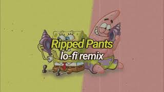 Spongebob  Ripped Pants Lofi Remix [upl. by Anauqahs318]