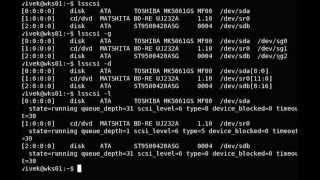 Linux lsscsi Command Examples  Get Info About SCSI  SATA Connected Devices [upl. by Serg116]