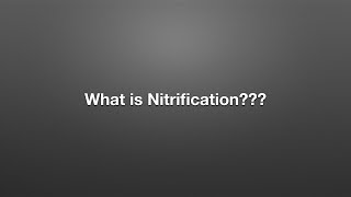 What is Nitrification [upl. by Hayyikaz485]