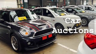 All You Need to Know About Car Auctions in South Africa [upl. by Atsuj]