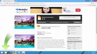 Como Descargar Megadownloader 17 Mediafire [upl. by Alebasi]