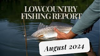 Low Country Fishing Report for Sept 1 [upl. by Niobe948]