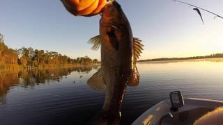 TWIN TROLLER X10 TWO GUYS FISHING OLD LAKE DAVENPORT [upl. by Belmonte355]