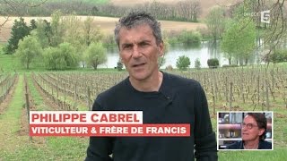 Francis Cabrel vu par son frère  C à vous  27042015 [upl. by Einahpetse965]