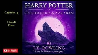 Harry Potter e il Prigioniero di Azkaban Audiolibro Italiano letto da Francesco Pannofino Capitolo14 [upl. by Ivon]