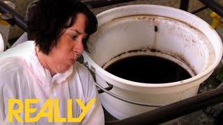 Cleaner Throws Up After Finding A Pot Filled With Human Excrement  Call The Cleaners [upl. by Germano]