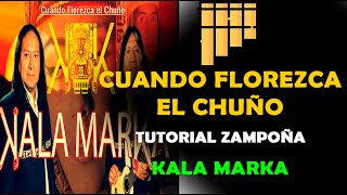 Cuando florezca el chuño en zampoña  Kala Marka  tutorial zampoña  panflute cover [upl. by Callery]