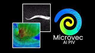 Artificial Intelligence in Particle Image Velocimetry [upl. by Macmillan764]