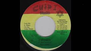 Livity Nuh Nice Riddim  Reggae Instrumental Version  Prod by Chipi Music 2007 [upl. by Amund]