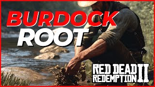 RED DEAD REDEMPTION 2  BURDOCK ROOT LOCATION  SELLCRAFT OR FOR CHALLENGES [upl. by Tereb]