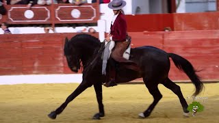 La Rejoneadora Lea Vicens y los caballos cartujanos [upl. by Park998]